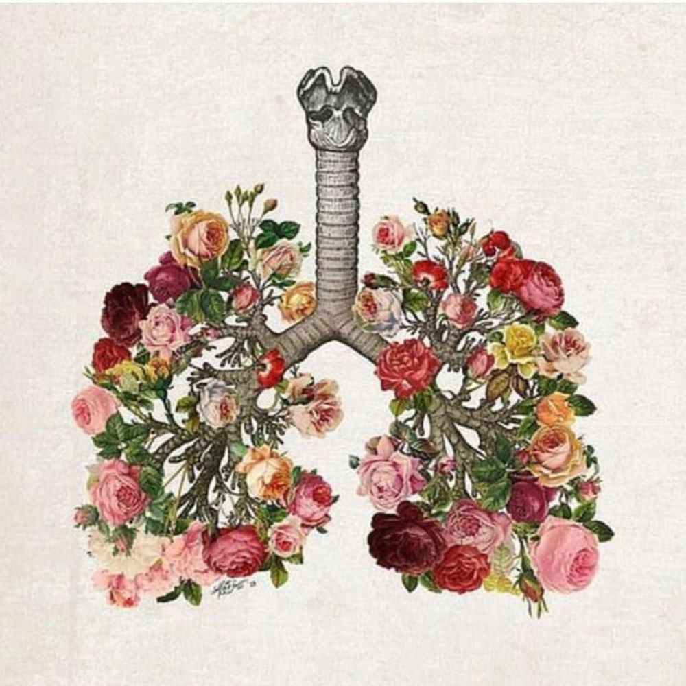 Meet your Posher, Mariah